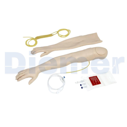 Brazo Puncion Iv Adulto Brazo Puncion Iv Adulto